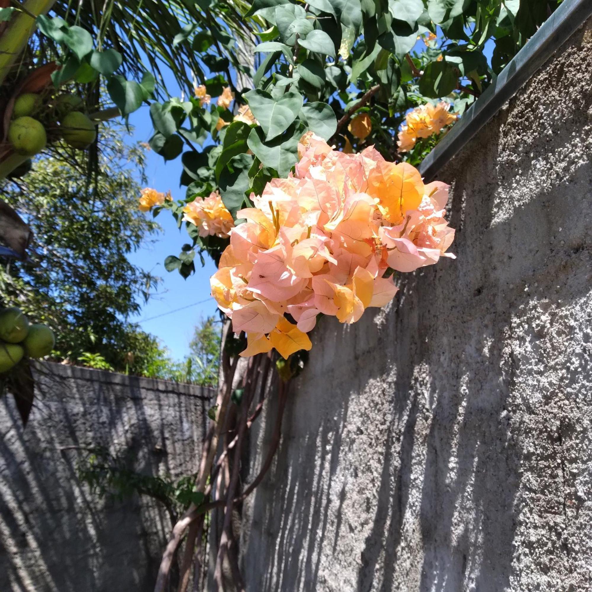 Casa China & Silva, Otima Casa Para Praia Ou Descanso, Proximo As Dunas Da Sabiaguaba E Shoppings Em Eusebio E Fortaleza Ce Exteriér fotografie